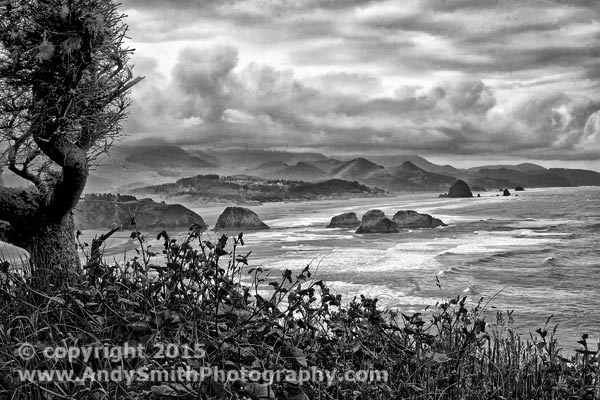 View of Cannon Beach from Ecola State Park